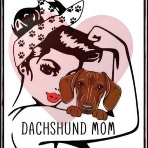 Meet your Posher, Elsie